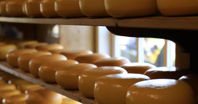 Shelves with many dutch cheese