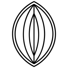 vector illustration of a banana leaf