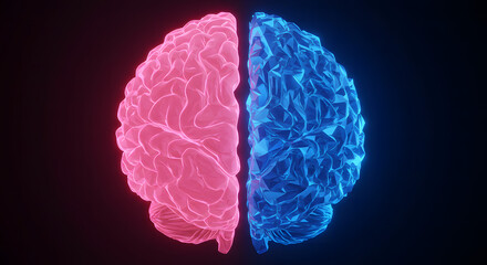 Split brain concept with pink and blue hemispheres glowing against a dark background