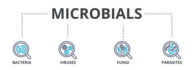 Microbials outline color banner concept with icons. Bacteria, Viruses, Fungi, Parasites © Critical