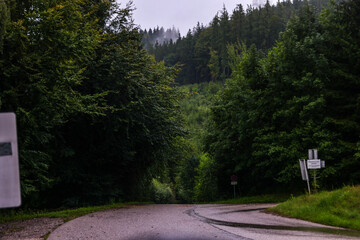 Woods. Haag Am Hausruck