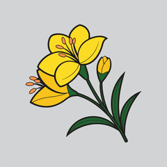 Elegant White Canna Lily Flower Illustration