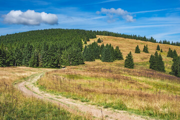 Wędrówka po Beskidzie Żywieckim © Aleksandra
