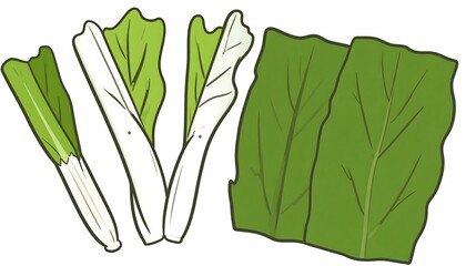 Illustration of bok choy leaves