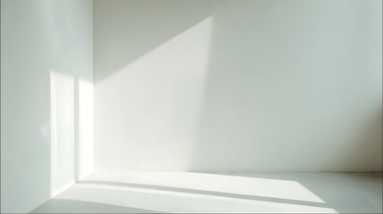Fototapeta premium Minimalist interior with leaves and geometric windows shadows on a white wall.