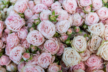A delicate bouquet of light pink and white roses.