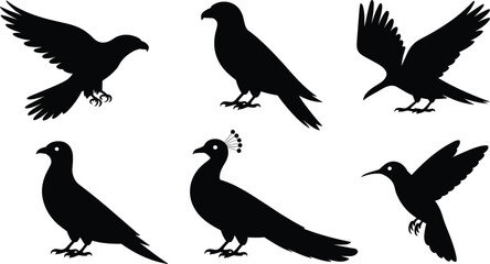 Bird silhouette vector illustration, eagle, pigeon, peacock, hummingbird, flying bird, wildlife design, exotic animal icon, nature art symbol
