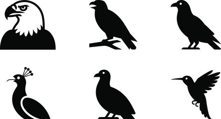 Bird silhouette vector, eagle, crow, dove, peacock, pigeon, hummingbird illustration, flying bird design, wildlife animal icon, nature concept