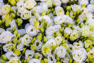A delicate bouquet of white and cream eustoma flowers.