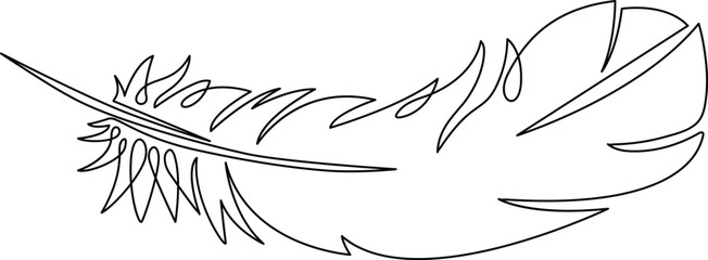 Bird Feather Single line art
