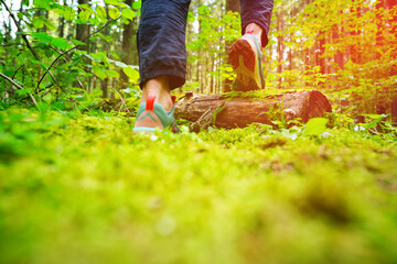 Trail running shoes for hiking. Hiking in sports shoes in forest trail. Sports shoes for cross-country running. Forest hike training session. Running on Trail. Shoe running. Walking in forest paths.