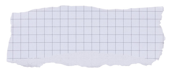 Torn strip of checkered white notebook page with black grid, isolated paper element for collage