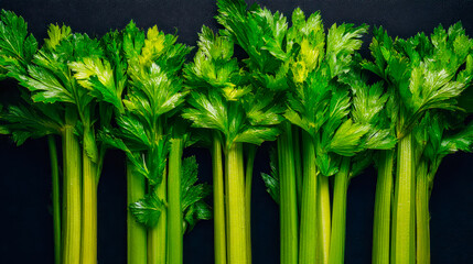 Fresh green celery stalks with leafy tops against a dark background