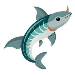 Fototapeta premium vector illustration of a shark