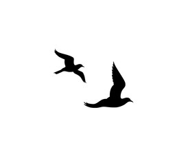 Fototapeta premium Two Black Silhouettes of Birds in Flight Against a White Background