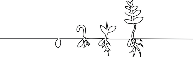 Growing plant tree single line art vector