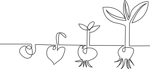 Growing plant tree single line art vector