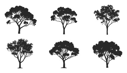 Leafy deciduous tree silhouette set, natural woodland illustration, outdoor forest design elements, black isolated vector collection for landscapes