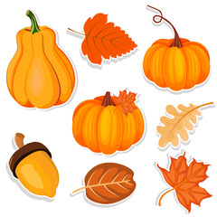 set of autumn pumpkins and leaves stickers