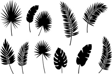 Set of silhouettes of palm leaves. Vector simple set of exotic palm leaves.
