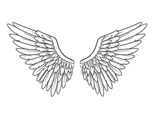 Pair of detailed angel wings