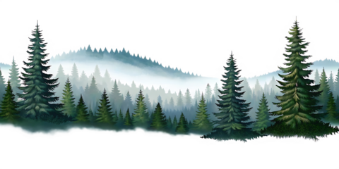 Dark pine forest landscape with fog and mist isolated on a transparent background