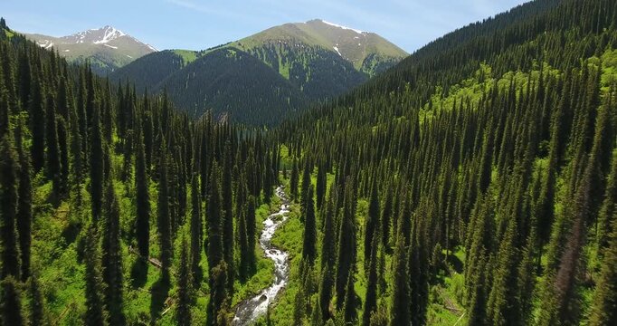 Aerial view of the fir trees and second Kolsay lake located in mountins of Kazakhstan near Almaty city