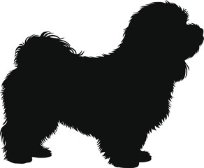 Cocker Spaniel dog silhouette vector, standing breed profile for pet logo, poster and grooming salon branding
