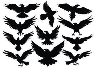 Obraz premium Eagles Flying and Standing in Silhouette Style silhouette