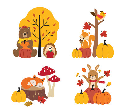 Fall woodland animals vector illustration features a bear, fox, squirrel, rabbit, bird, and hedgehog in an autumn forest scene with pumpkins and fall leaves.