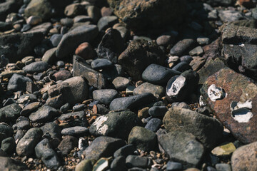 赤穂、海岸に落ちている丸い石、兵庫、日本