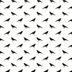 Fototapeta premium Black Bird Silhouette Seamless Vector Pattern