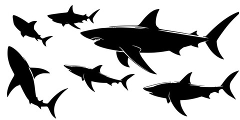 silhouette of sharks