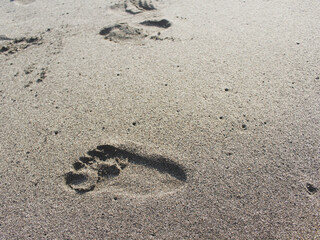Human Footprint on Sandy Beach