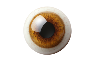 Eye icon isolated on white background; human vision, look, view and surveillance symbol