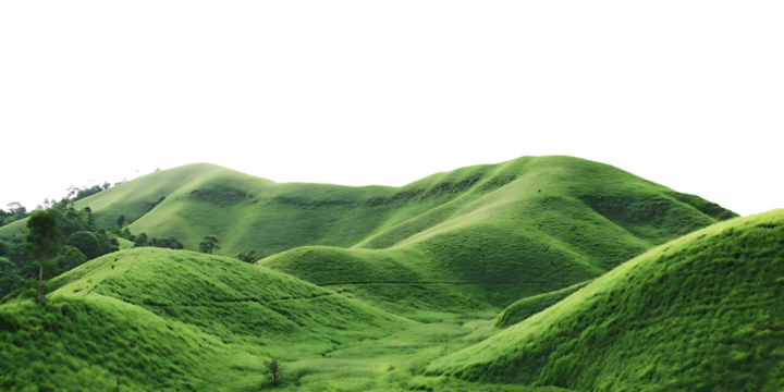 Rolling green hills landscape with trees isolated on a transparent background rolling landscape