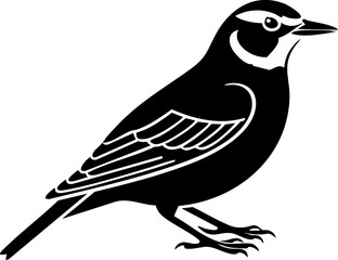 Striking meadowlark illustration, elegant bird wildlife art, nature symbol, clean vector design, fauna icon