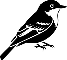 Fototapeta premium Charming small bird silhouette perched elegantly, perfect for nature and design projects