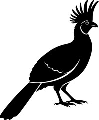 Elegant silhouette of a crested bird standing proudly, showcasing its unique plumage and regal stance.