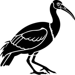 Obraz premium Elegant ibis bird silhouette captures natural grace and unique wildlife beauty for your designs