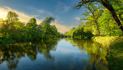 Fototapeta premium Tranquil Riverscapes Adorned With Vibrant Foliage And Serene Reflections For Nature Enthusiasts And Landscape Lovers