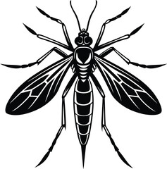 Close-up macro of a single black mosquito, a small flying pest insect, isolated on a white background