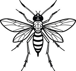 Vector illustration of a black wasp and fly on white background