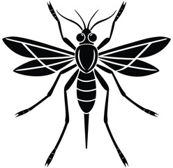 Black and white butterfly bee and beetle vector illustration