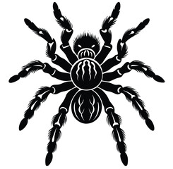 Spider vector illustration on white background cartoon tattoo design