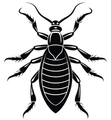 Black and white beetle isolated on white background illustration