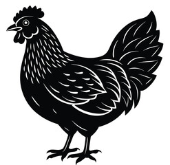 White-isolated rooster with a brown hen and chicks are a common poultry farm animal