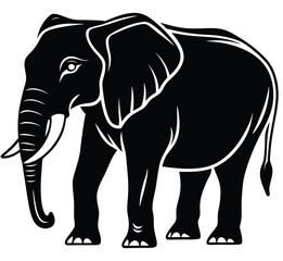 Fototapeta premium White background features an isolated elephant, a large wild mammal with a long trunk, walking