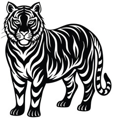 Tiger and zebra vector illustration of wild animals with stripes and cartoon style