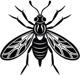 Wasp bee and fly vector illustration on white background